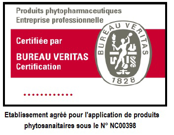 Bureau veritas